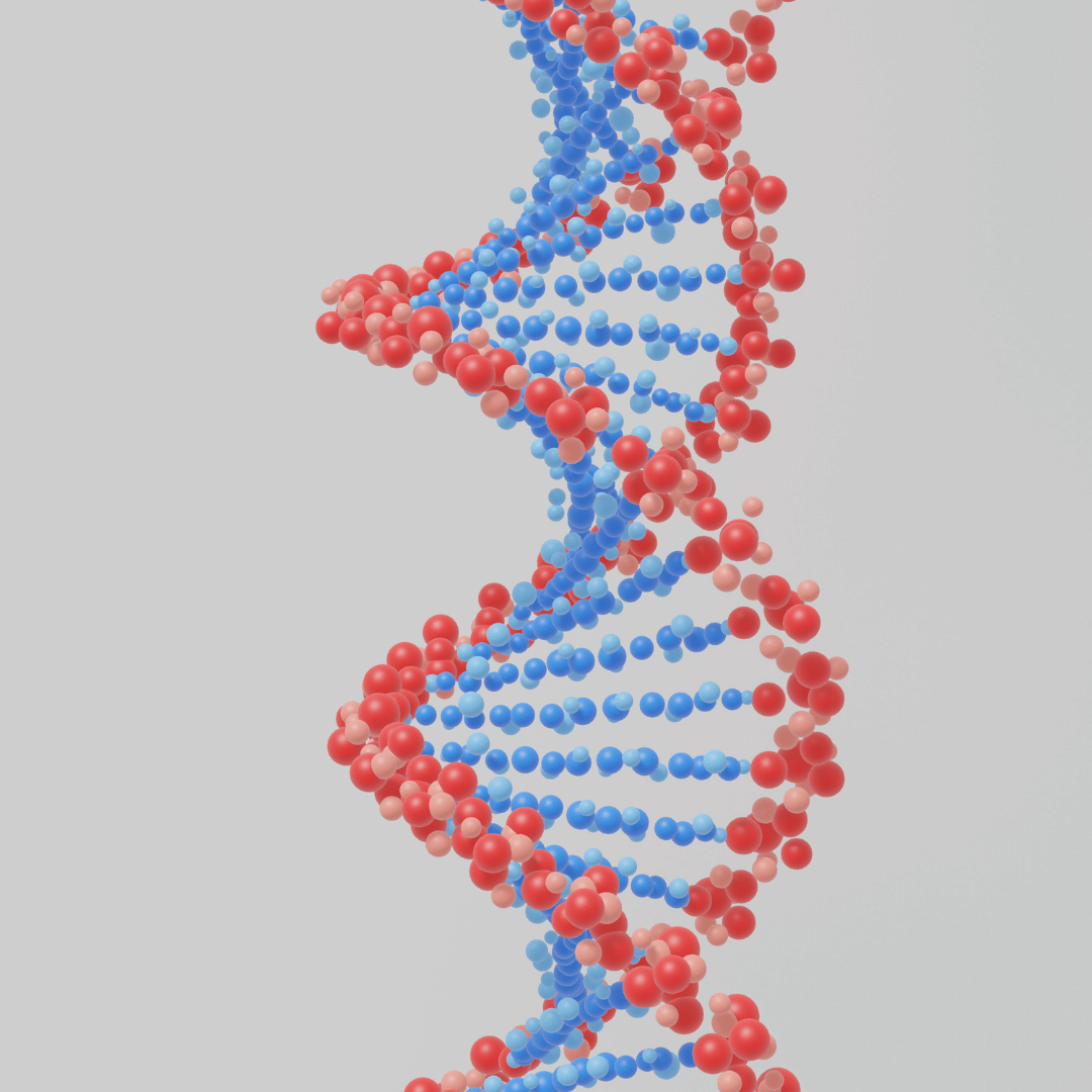 MSc Biotechnology – MSc Biotechnology Syllabus, MSc Biotechnology Eligibility, MSc Biotechnology Colleges, MSc Biotechnology Jobs, and MSc Biotechnology Scope